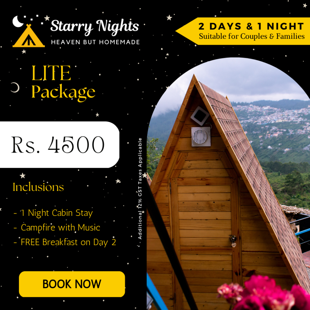 starry nights glamps lite package